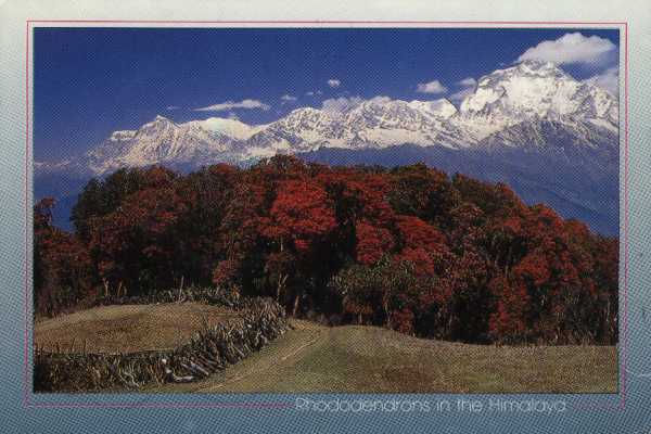 Cliquez sur cette image pour voir la suivante...